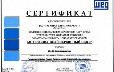 Электродвигатели WEG